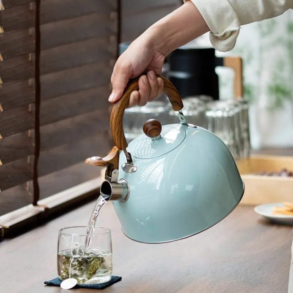 AurumWhistle Elegant Stainless Steel Kettle with Gentle Whistling Charm - All Around Casa