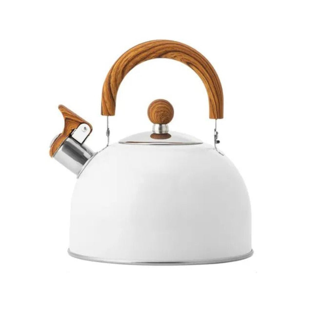 AurumWhistle Elegant Stainless Steel Kettle with Gentle Whistling Charm - All Around Casa