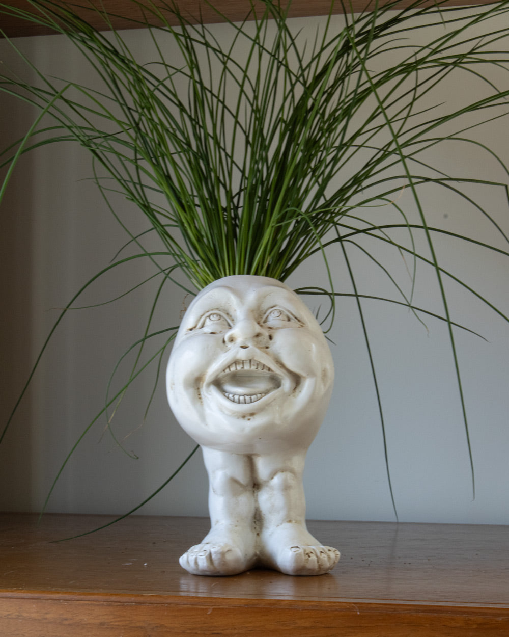 WhimsiGlow Character Planters – Playful Decorative Pots for Charming Interiors & Gardens