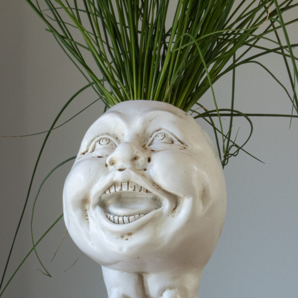 WhimsiGlow Character Planters – Playful Decorative Pots for Charming Interiors & Gardens