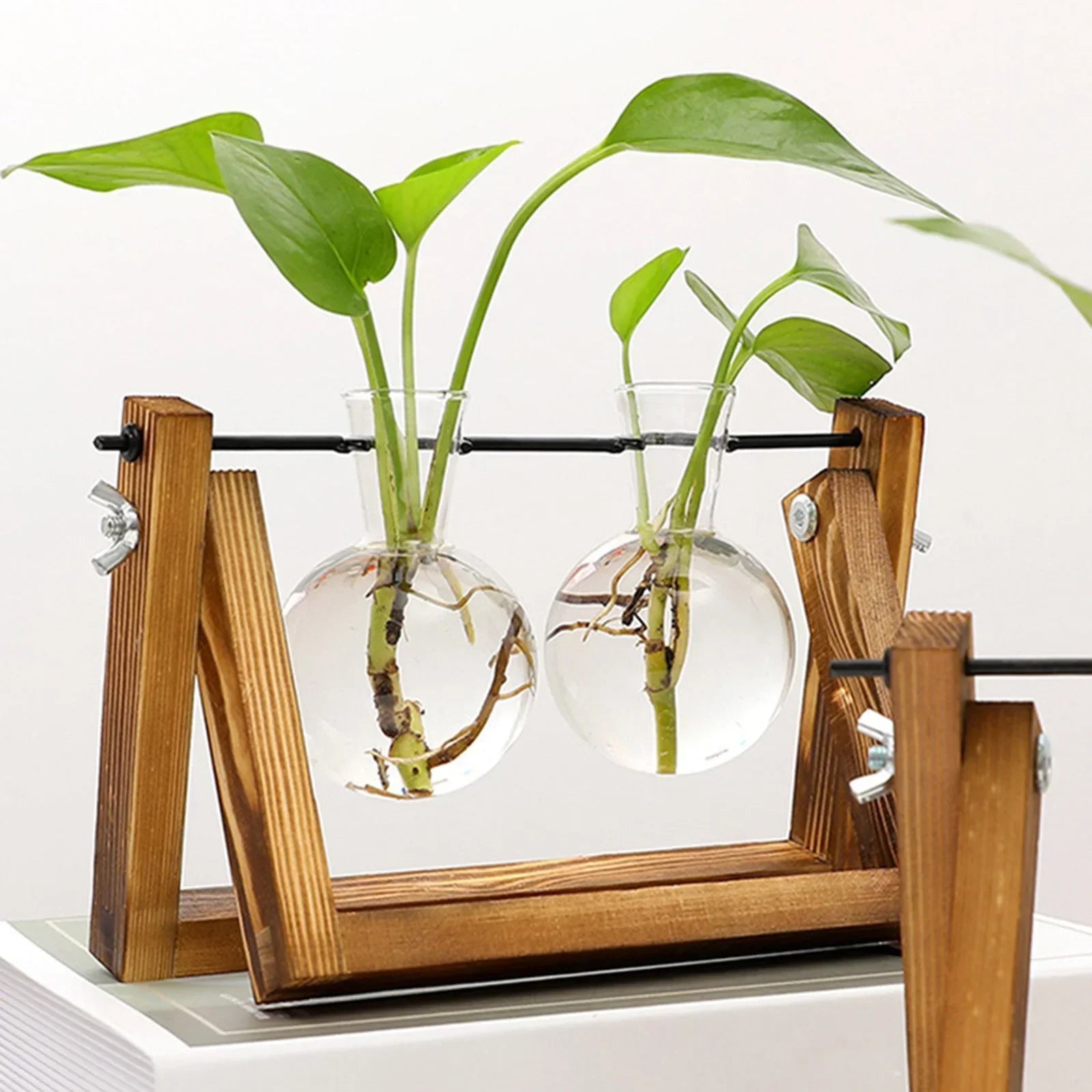 VerdeHalo Elegant Glass Propagation Stand for a Minimalist Indoor Garden - All Around Casa