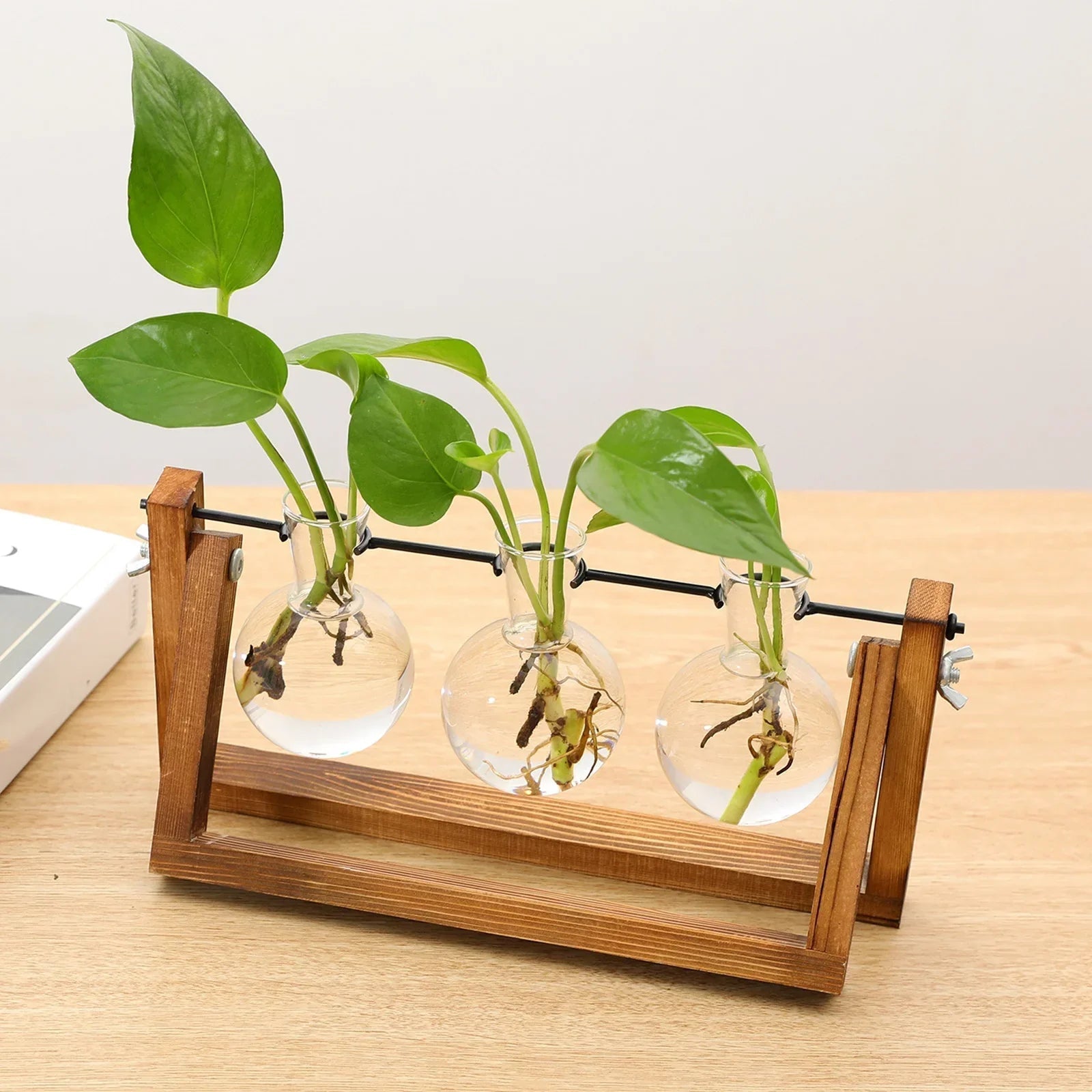VerdeHalo Elegant Glass Propagation Stand for a Minimalist Indoor Garden - All Around Casa