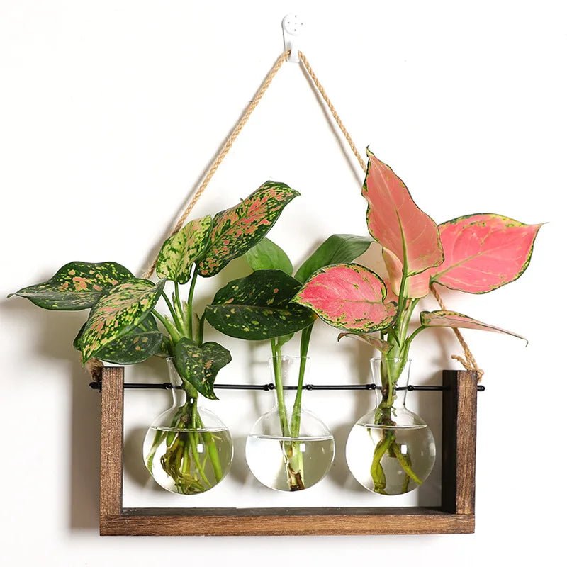 VerdeHalo Elegant Glass Propagation Stand for a Minimalist Indoor Garden - All Around Casa