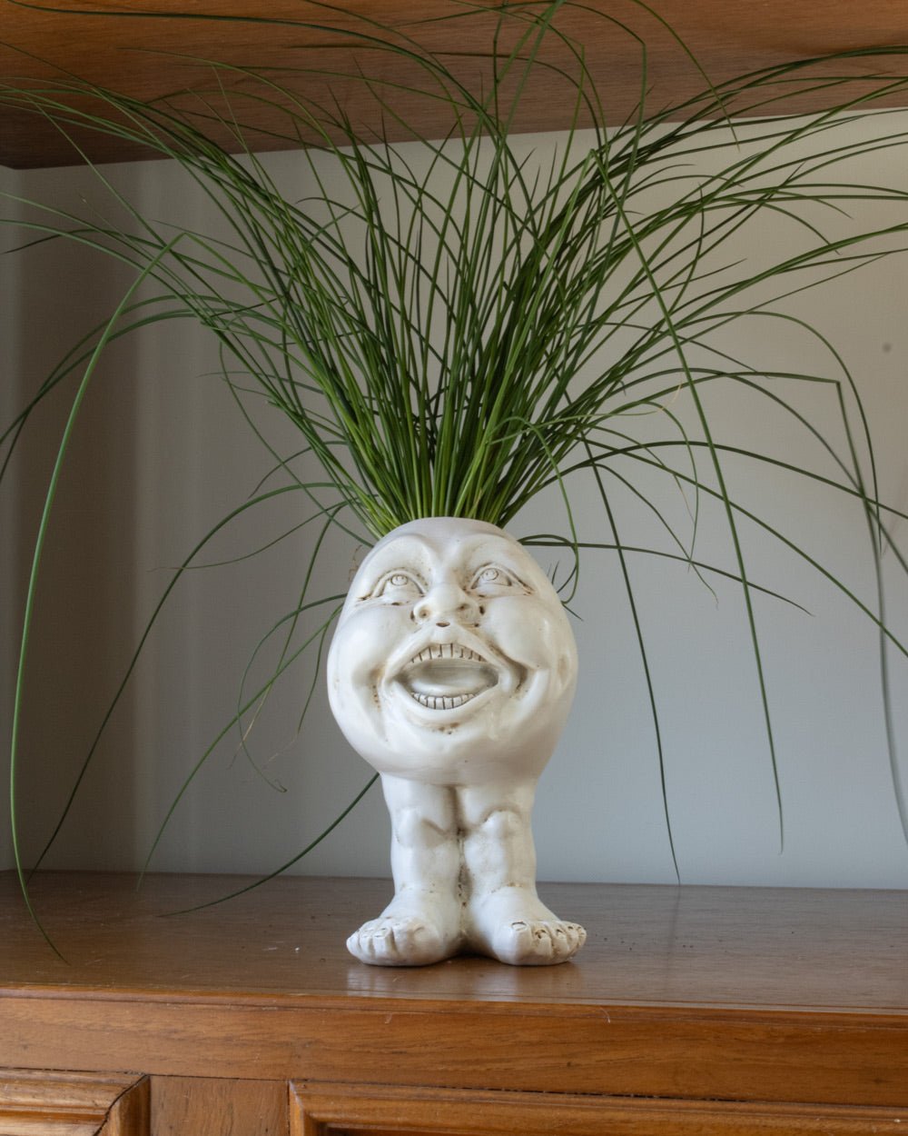 WhimsiGlow Character Planters – Playful Decorative Pots for Charming Interiors & Gardens - All Around Casa