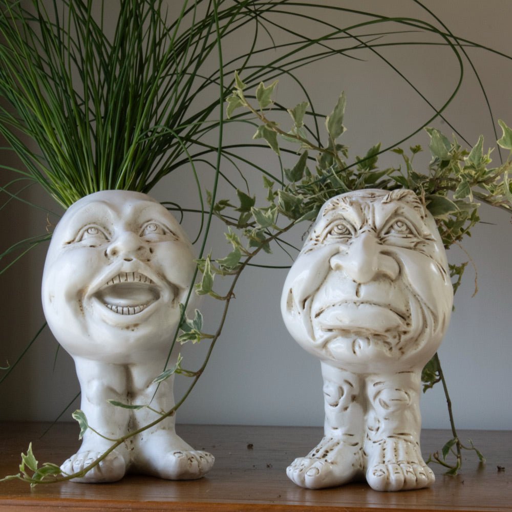 WhimsiGlow Character Planters – Playful Decorative Pots for Charming Interiors & Gardens - All Around Casa