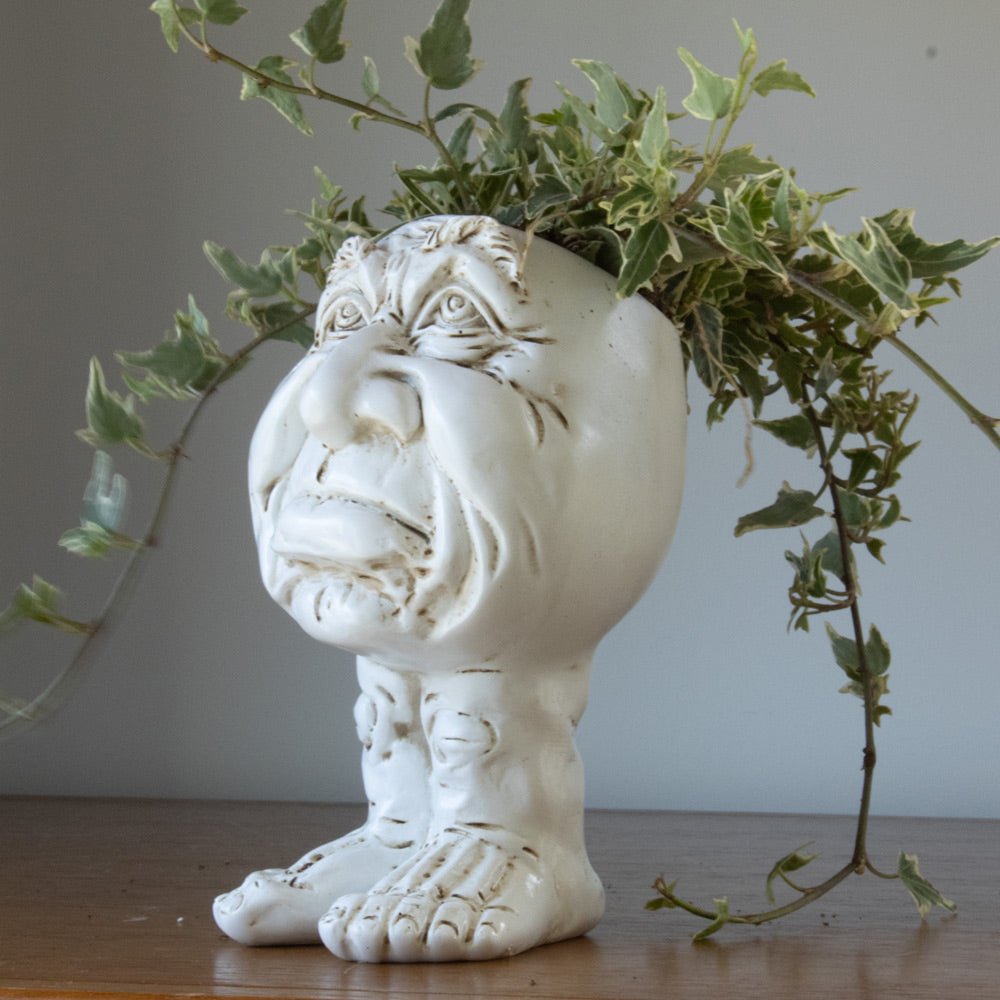 WhimsiGlow Character Planters – Playful Decorative Pots for Charming Interiors & Gardens - All Around Casa