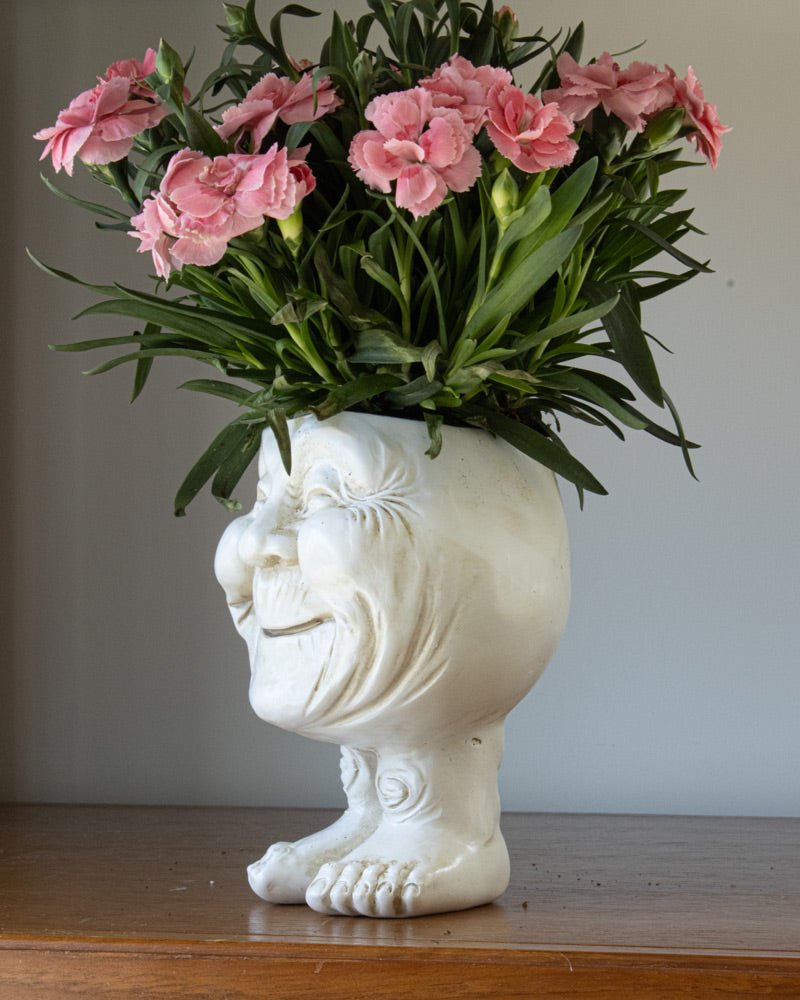 WhimsiGlow Character Planters – Playful Decorative Pots for Charming Interiors & Gardens - All Around Casa