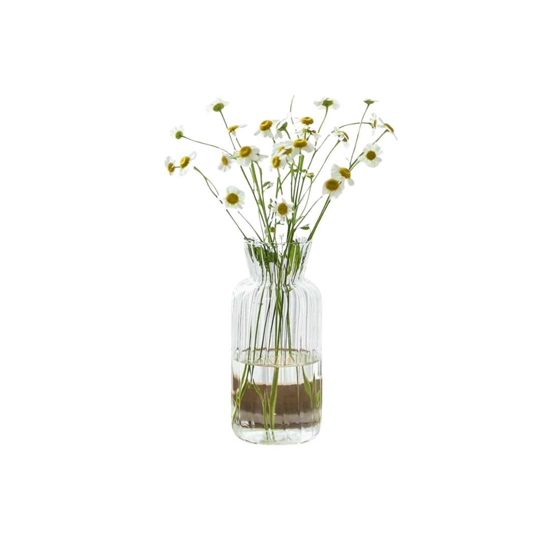 All Around Casa – Petal Texture Glass Vases - All Around Casa