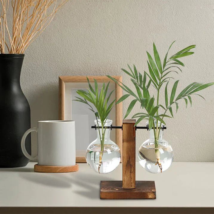 AuroraNest Elegant Glass Vase on Wooden Stand for Modern Natural Décor - All Around Casa