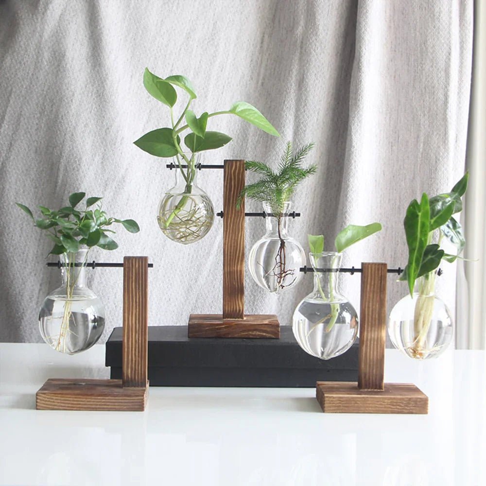 AuroraNest Elegant Glass Vase on Wooden Stand for Modern Natural Décor - All Around Casa