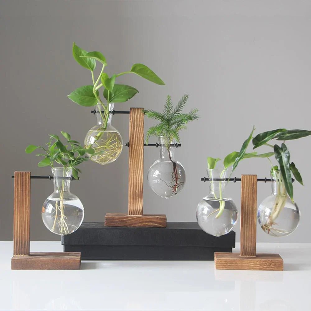 AuroraNest Elegant Glass Vase on Wooden Stand for Modern Natural Décor - All Around Casa