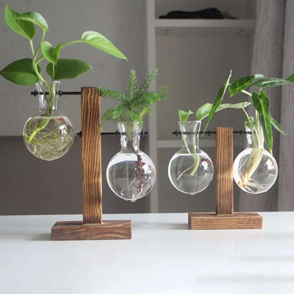 AuroraNest Elegant Glass Vase on Wooden Stand for Modern Natural Décor - All Around Casa