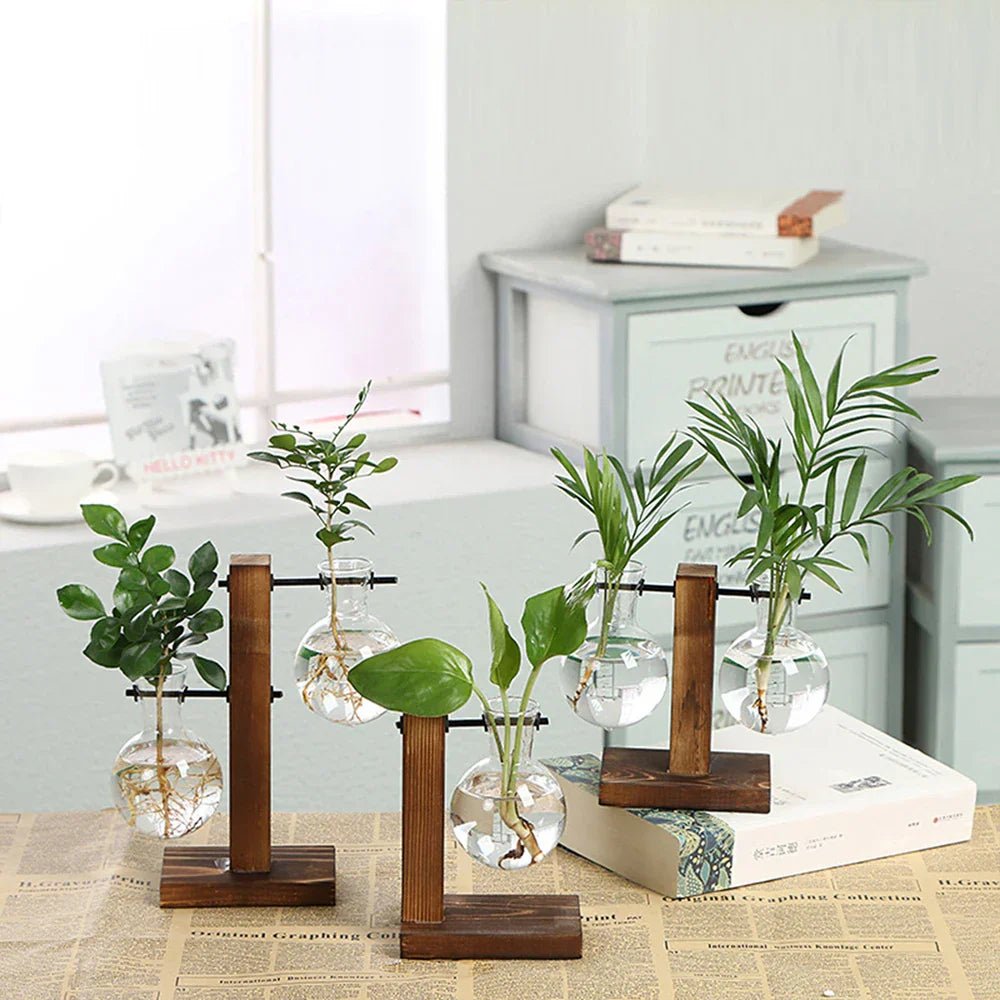 AuroraNest Elegant Glass Vase on Wooden Stand for Modern Natural Décor - All Around Casa