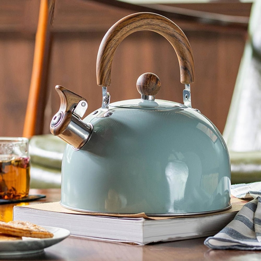 AurumWhistle Elegant Stainless Steel Kettle with Gentle Whistling Charm - All Around Casa