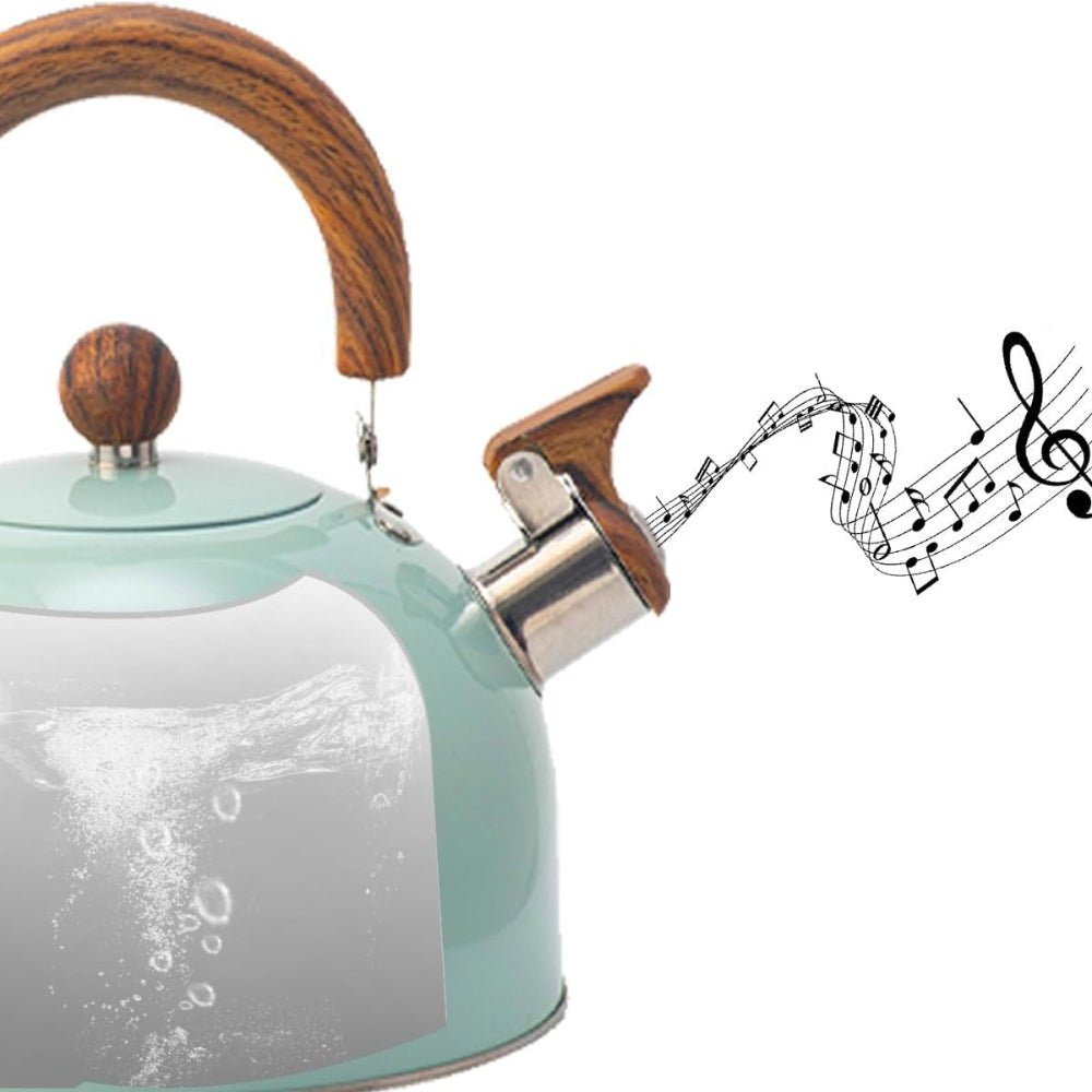 AurumWhistle Elegant Stainless Steel Kettle with Gentle Whistling Charm - All Around Casa