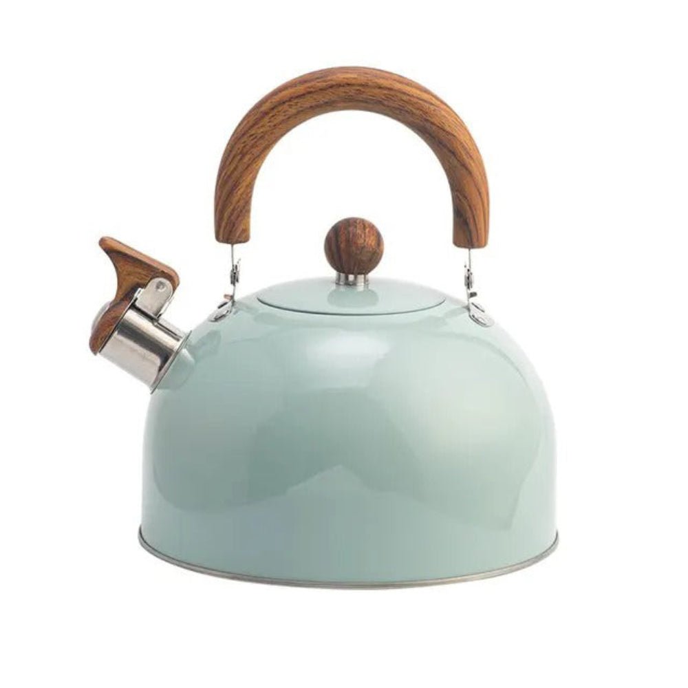 AurumWhistle Elegant Stainless Steel Kettle with Gentle Whistling Charm - All Around Casa