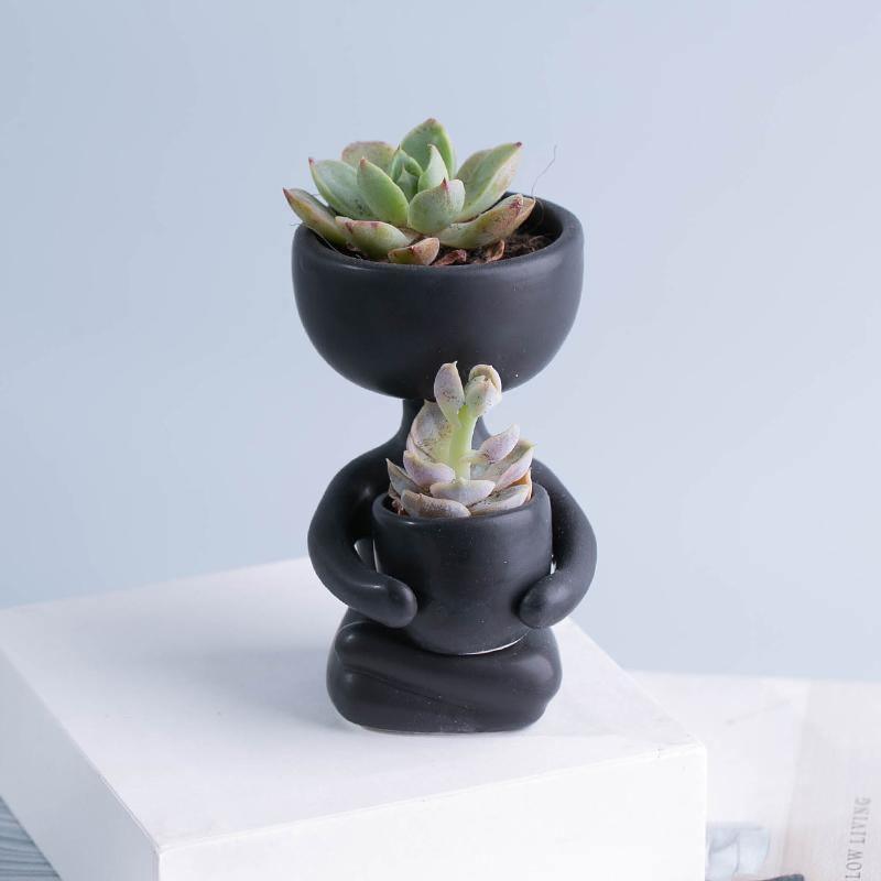 ClayHaven Whimsical Succulent Planter – Charming Ceramic Decor for a Playful Touch - All Around Casa