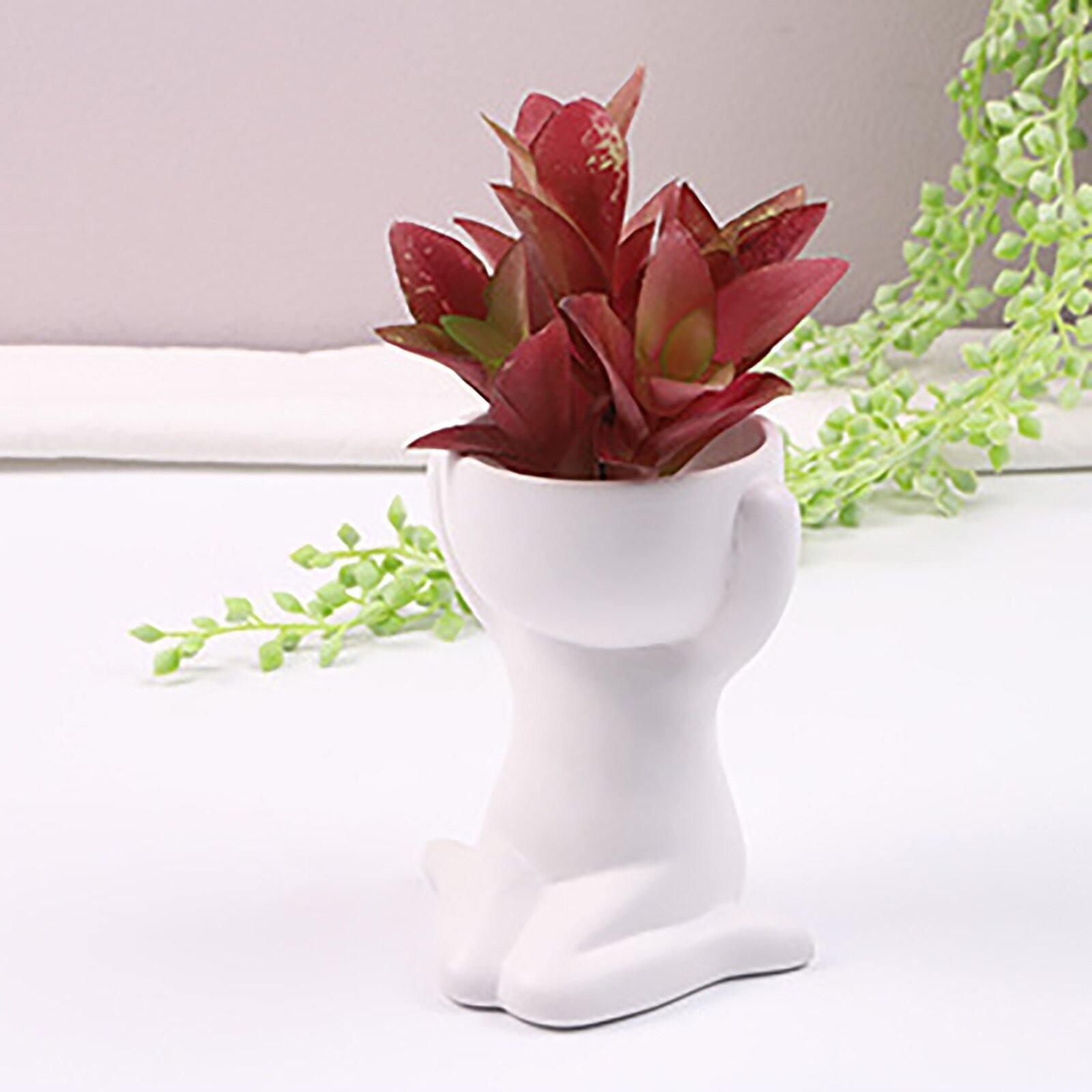 ClayHaven Whimsical Succulent Planter – Charming Ceramic Decor for a Playful Touch - All Around Casa
