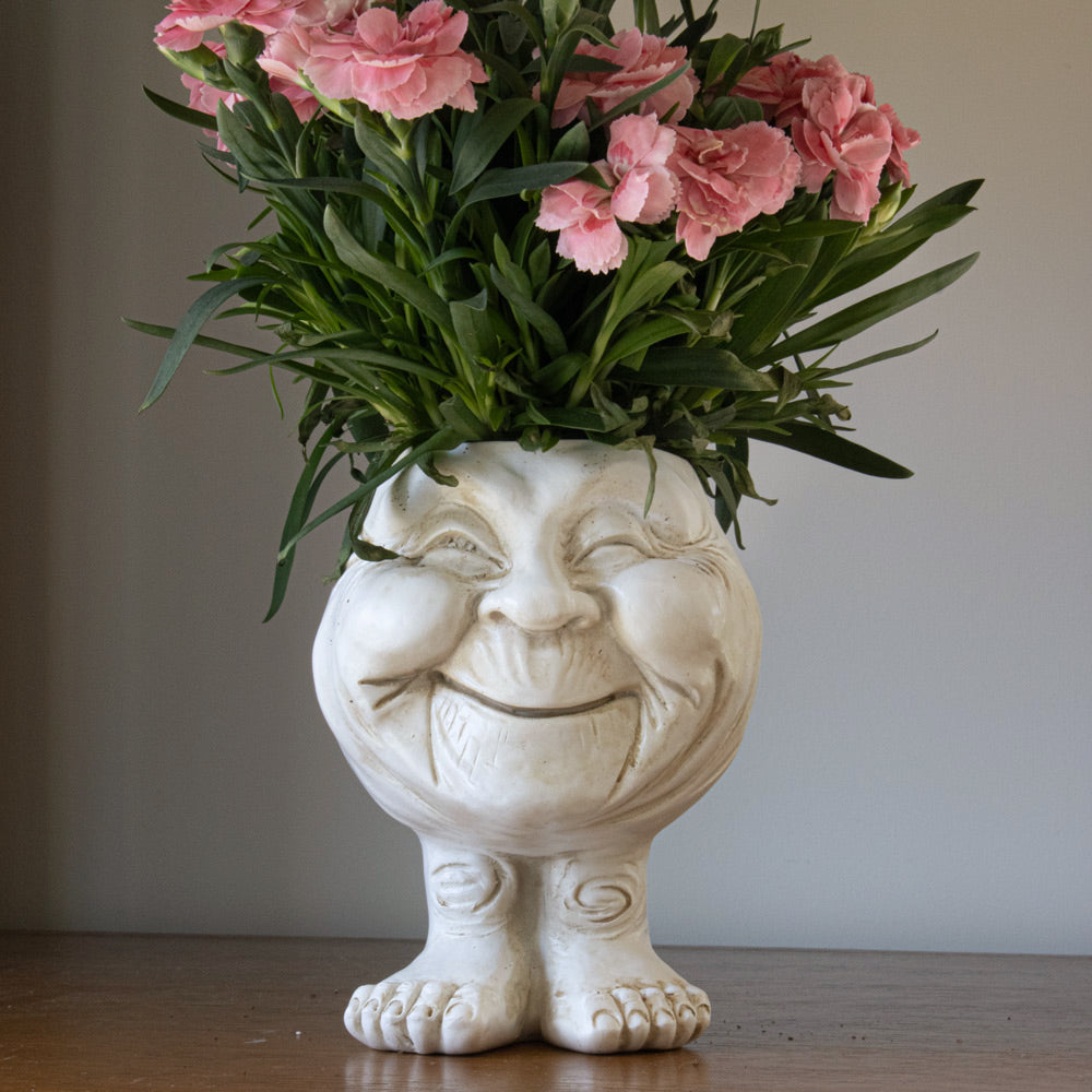 WhimsiGlow Character Planters – Playful Decorative Pots for Charming Interiors & Gardens
