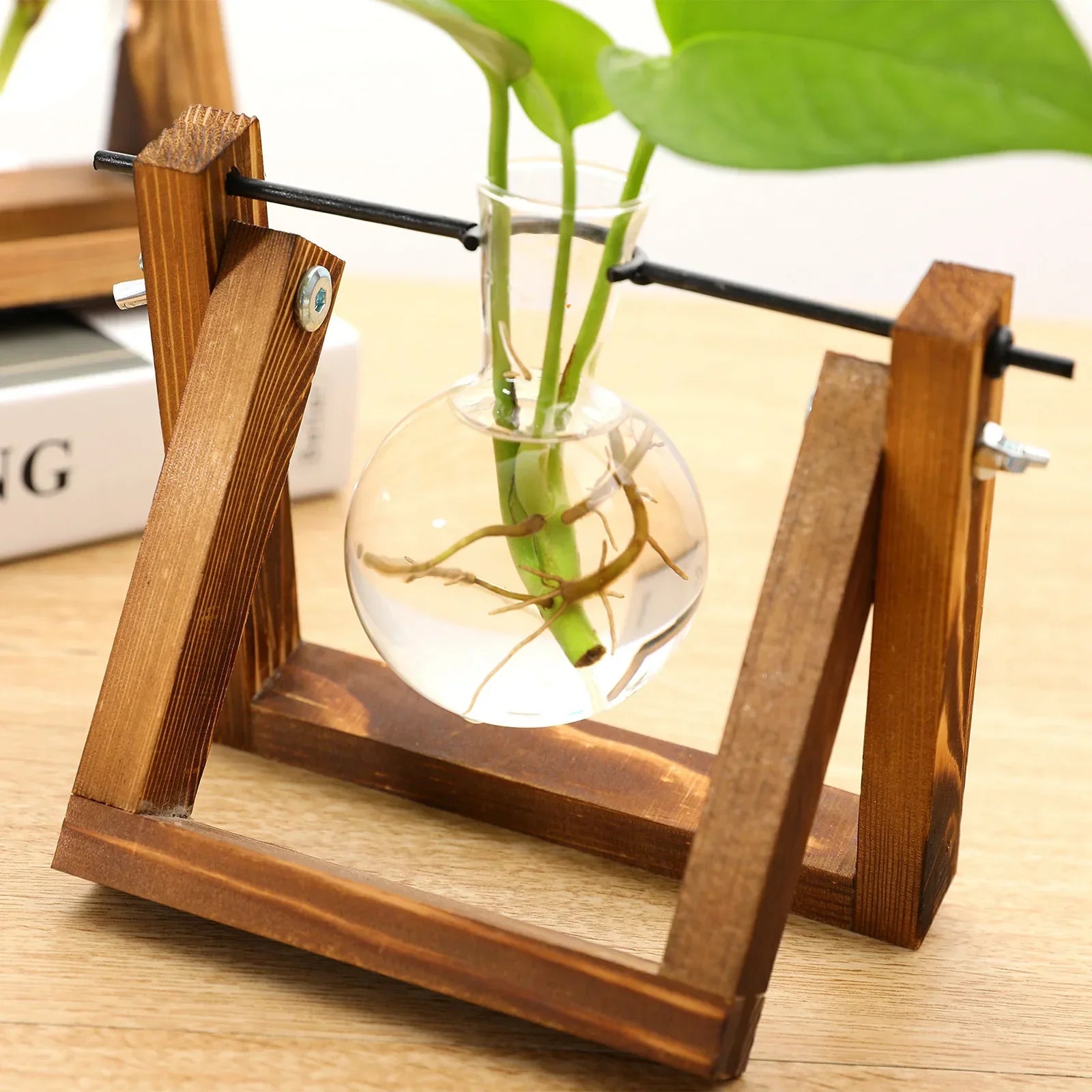 VerdeHalo Elegant Glass Propagation Stand for a Minimalist Indoor Garden - All Around Casa