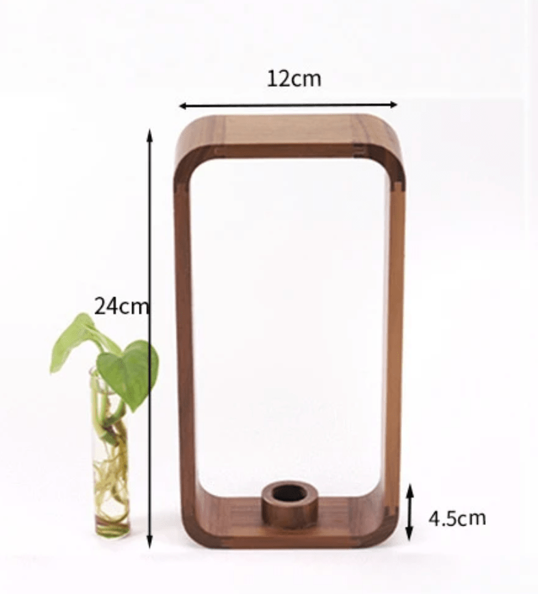 Verdura Aura Elegant Glass Plant Propagator for Modern Greenery Displays - All Around Casa