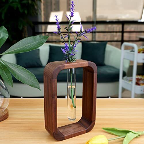 Verdura Aura Elegant Glass Plant Propagator for Modern Greenery Displays - All Around Casa