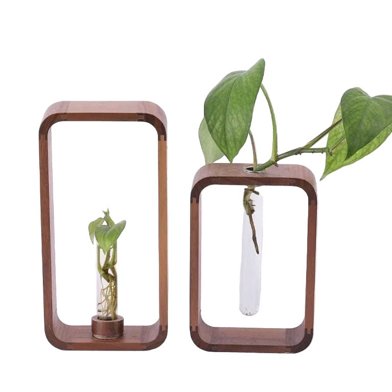 Verdura Aura Elegant Glass Plant Propagator for Modern Greenery Displays - All Around Casa