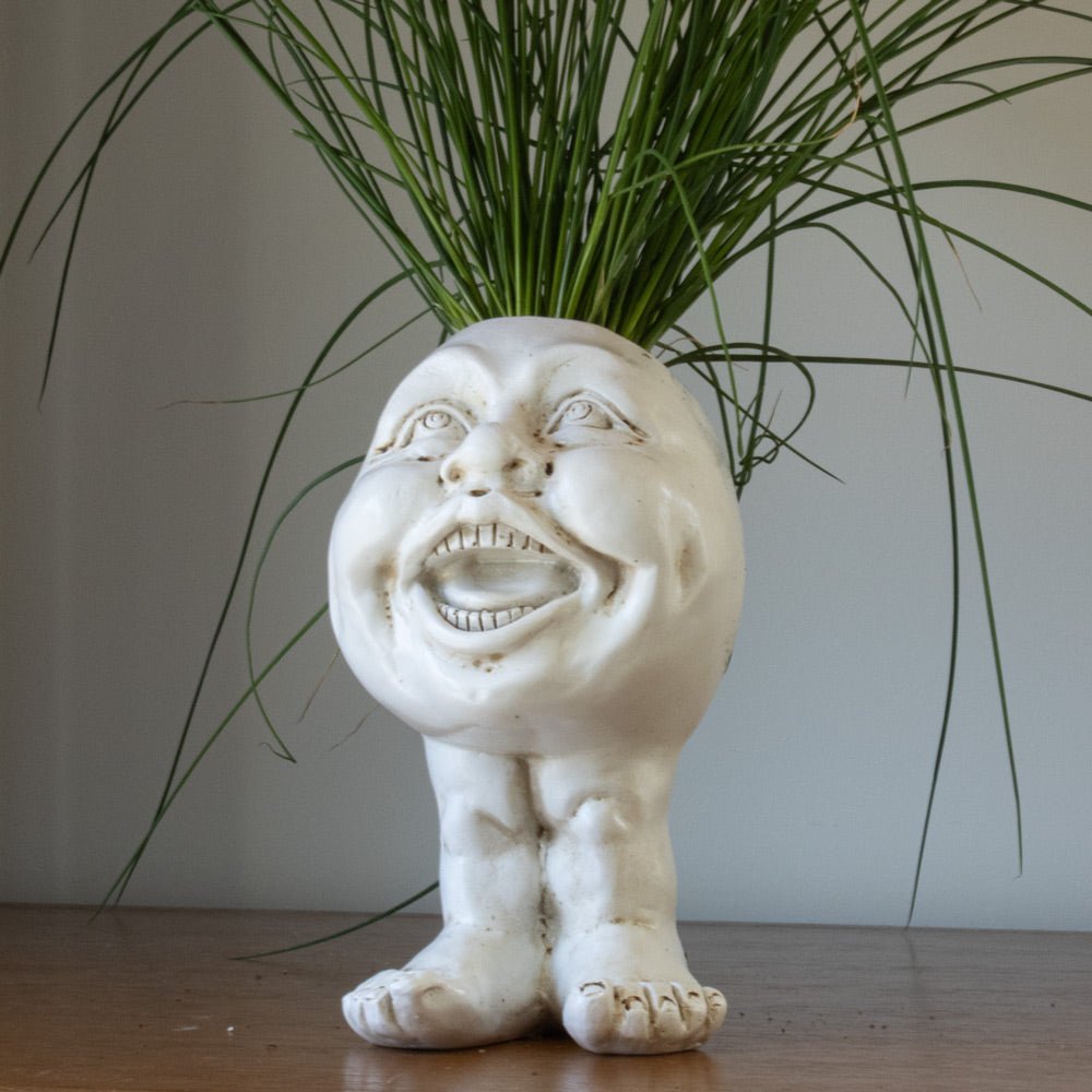 WhimsiGlow Character Planters – Playful Decorative Pots for Charming Interiors & Gardens - All Around Casa