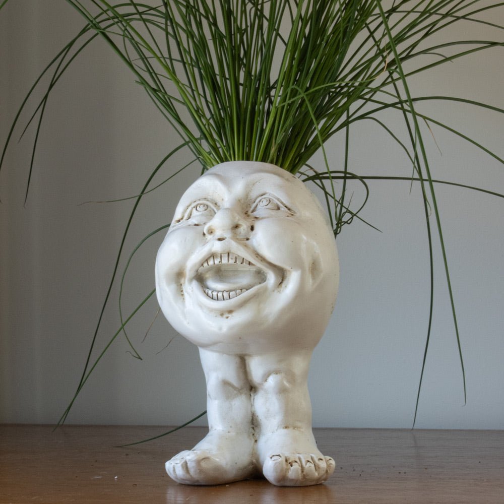 WhimsiGlow Character Planters – Playful Decorative Pots for Charming Interiors & Gardens - All Around Casa