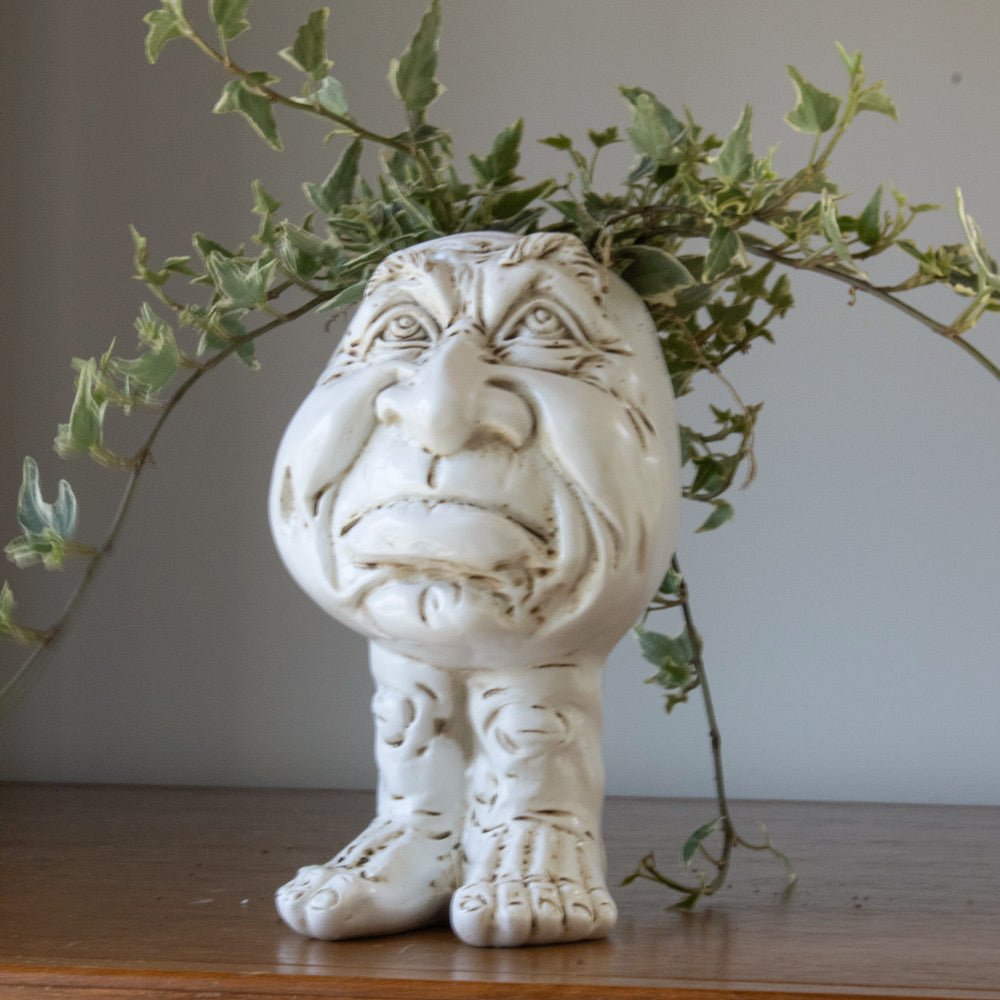 WhimsiGlow Character Planters – Playful Decorative Pots for Charming Interiors & Gardens - All Around Casa