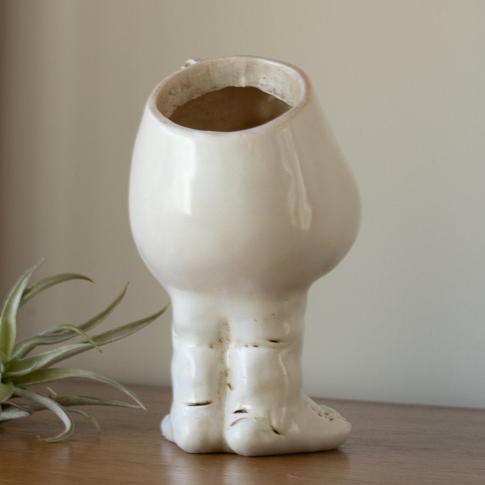 WhimsiGlow Character Planters – Playful Decorative Pots for Charming Interiors & Gardens - All Around Casa