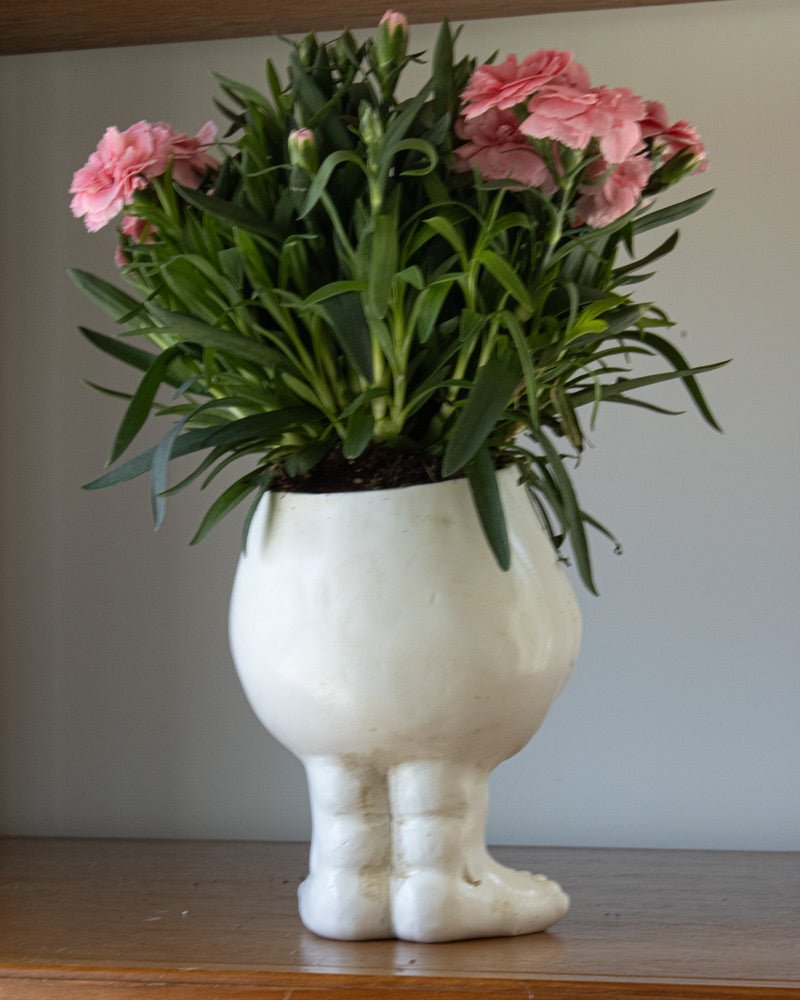 WhimsiGlow Character Planters – Playful Decorative Pots for Charming Interiors & Gardens - All Around Casa