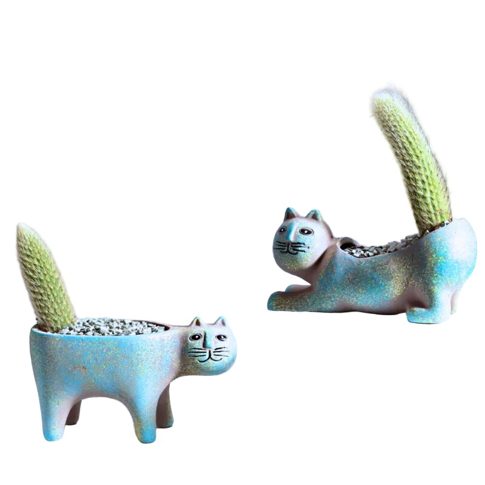 WhiskerBloom Elegant Ceramic Planters for Playful Greenery Charm - All Around Casa